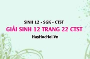 Giải Sinh 12 trang 22 Chân trời sáng tạo SGK